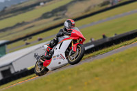 PJ-Motorsport-2019;anglesey-no-limits-trackday;anglesey-photographs;anglesey-trackday-photographs;enduro-digital-images;event-digital-images;eventdigitalimages;no-limits-trackdays;peter-wileman-photography;racing-digital-images;trac-mon;trackday-digital-images;trackday-photos;ty-croes